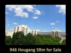 Blk 946 Hougang Street 92 (Hougang), HDB 5 Rooms #130561542